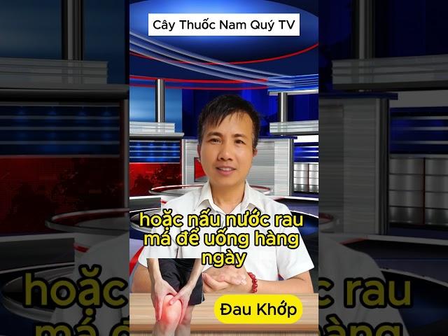 Giảm Đau Khớp Nhanh Chóng Với 5 Cây Thuốc Nam Đơn Giản #caythuocnamquytv #caythuocnamquy #caythuoc