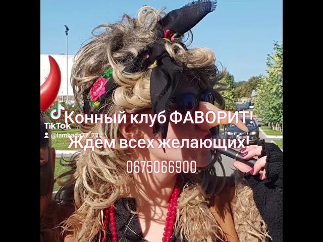 #конныйспорт #конныйклуб #верховаяезда