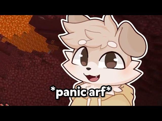 PANIC BARK