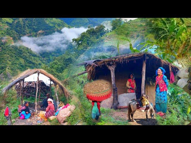 This is Himalayan village life in Nepal ||daily Activities people in Nepali mountain village lifesty