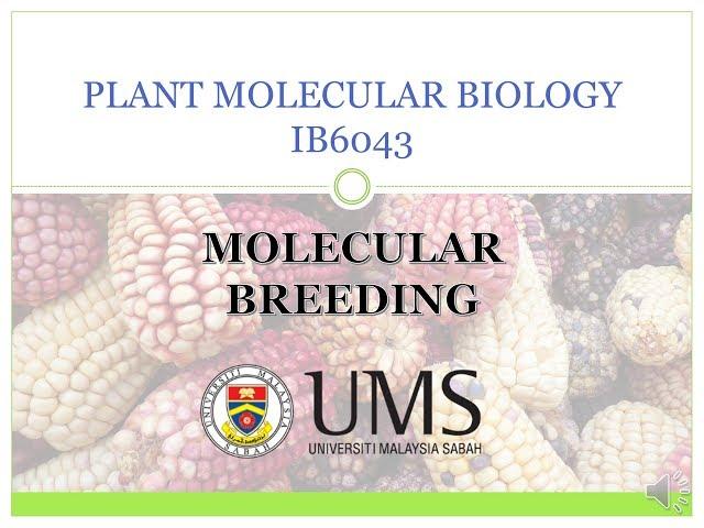 PLANT BREEDING USING MARKER ASSISTED SELECTION