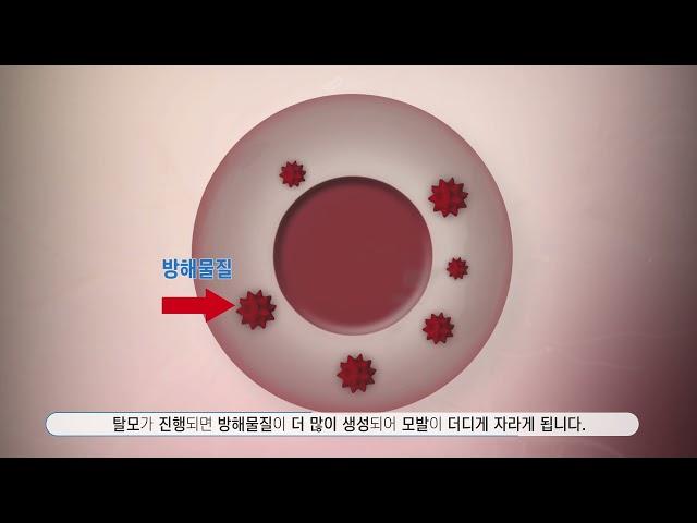 “SELEX DNA 샴푸 DNA 압타머 효능”