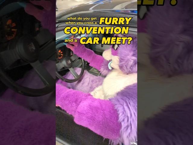 what d'you get when you cross a furry convention and a car meet? #vancoufur #furry #furries #fursuit