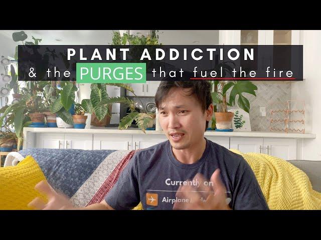 Plant Addiction & the Plant Purges That Fuel The Fire | Indoor Houseplants | Community Issues