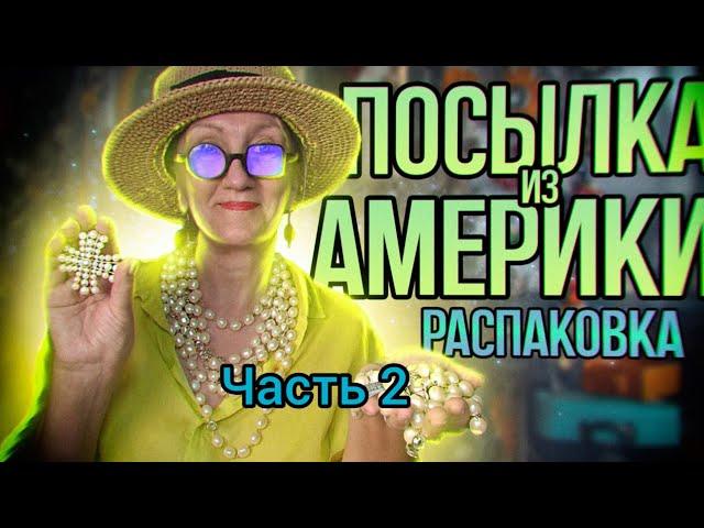 270.Распаковка посылки из Америки. Кот в горшке  Часть 2