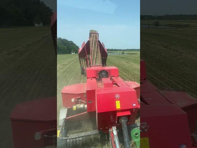 #shorts Kayla Wieczorek | HAY days of Summer ~ ARE HERE!! | 1st day baling alfalfa #HaySeason 2023