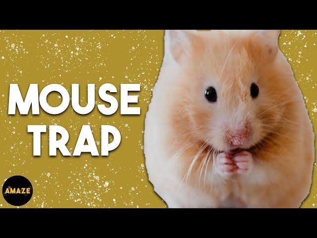 Magician Walks Over Mouse Traps Blind Folded | Next Great Magician | Amaze