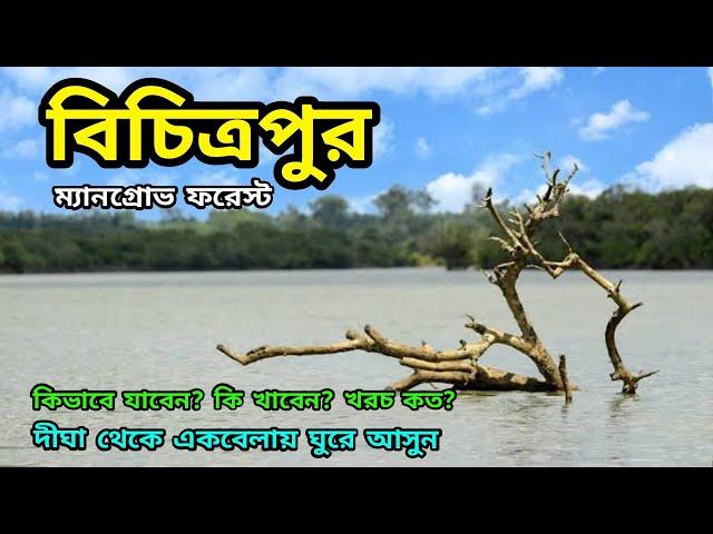 Bichitrapur Mangrove Sanctuary | Digha Tour | বিচিত্রপুর | Digha Bichitrapur | Bichitrapur Tour