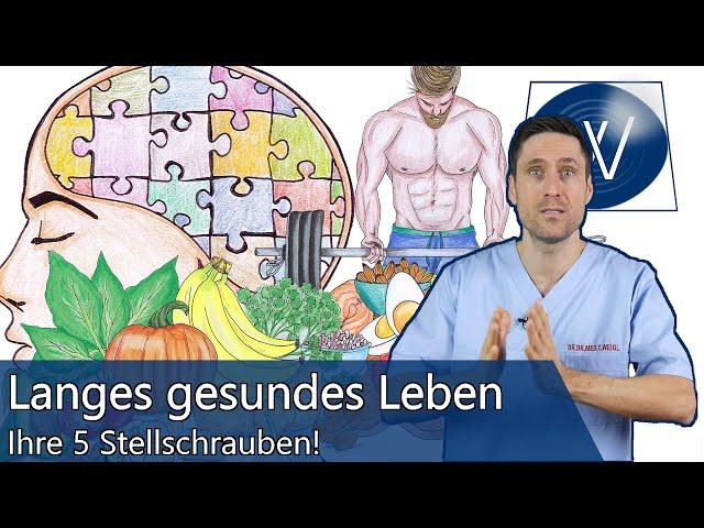 Revolutionäre Studie: Erfolgsfaktoren für ein langes gesundes Leben - Was Sie beeinflussen können!