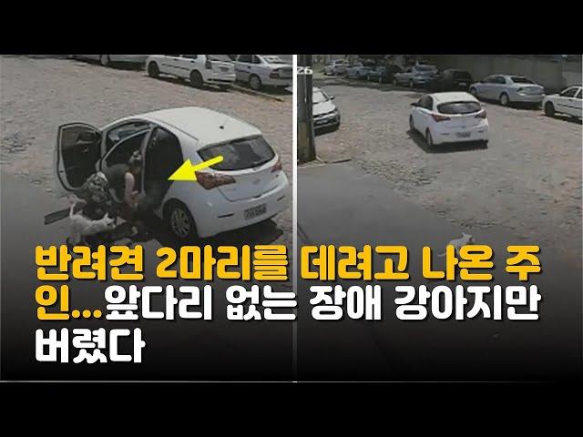 반려견 2마리를 데려고 나온 주인   앞다리 없는 장애 강아지만 버렸다