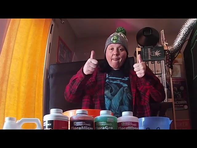 Fertigation: How does Miss Newty feed her plants??