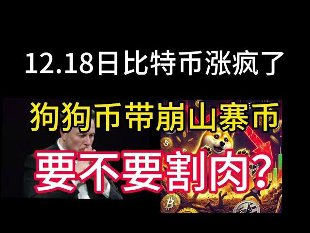 12.18日比特币涨疯了！狗狗币带崩山寨币要不要割肉？山寨币被大饼吸血该如何布局？