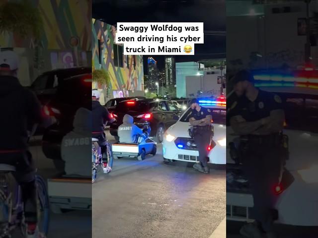 Dog drives cyber truck in front of police  #tesla #cybertruck #dog #miami #estadosunidos