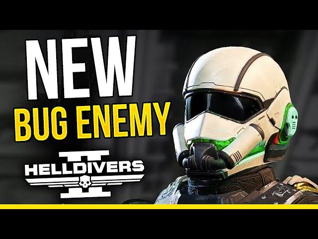 Helldivers 2 NEW BUG ENEMY IS HERE! & No Summer Updates?!