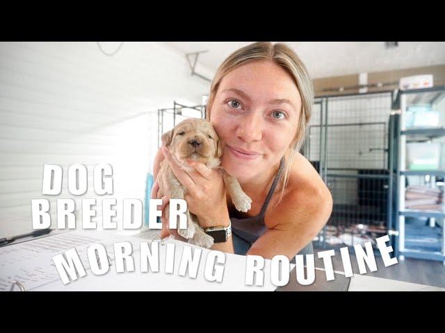 GOLDENDOODLE BREEDER MORNING ROUTINE | What A Morning Is Like With 6 Dogs and 8 Puppies