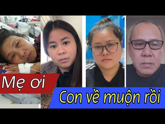 ( 1321 ) Con từ Pháp tìm về. Gặp lại Cha và chị, Nghe tin Mẹ đã Mất. Xin chia buồn với con.