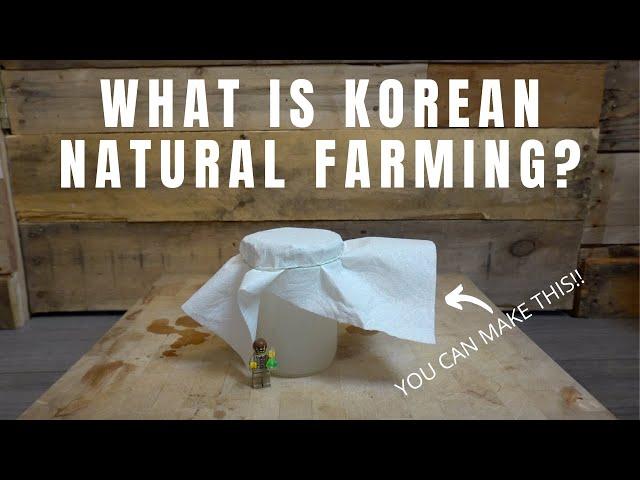 Simple, DIY Korean Natural Farming for Beginners