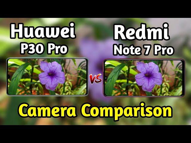 Huawei P30 Pro VS Redmi Note 7 Pro Camera Test Comparison|Huawei P30 Pro Review|Note 7 Pro Overview|