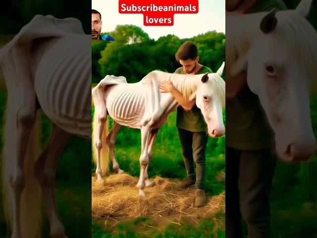 Horse video  horse and lion  trending Short Horse  #shortvideo #horse #animals #shorts #video