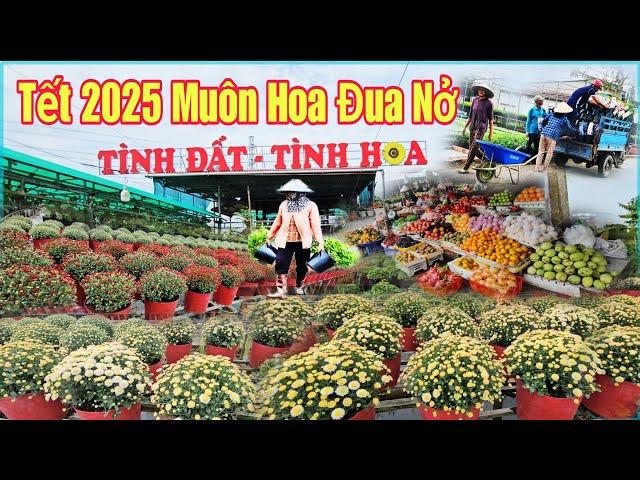 Làng hoa sa đéc - Tết 2025 muôn hoa đua nở đón xuân ất tỵ