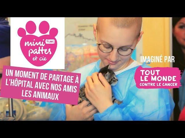 Mini Pattes et Cie - Tout le monde contre le cancer