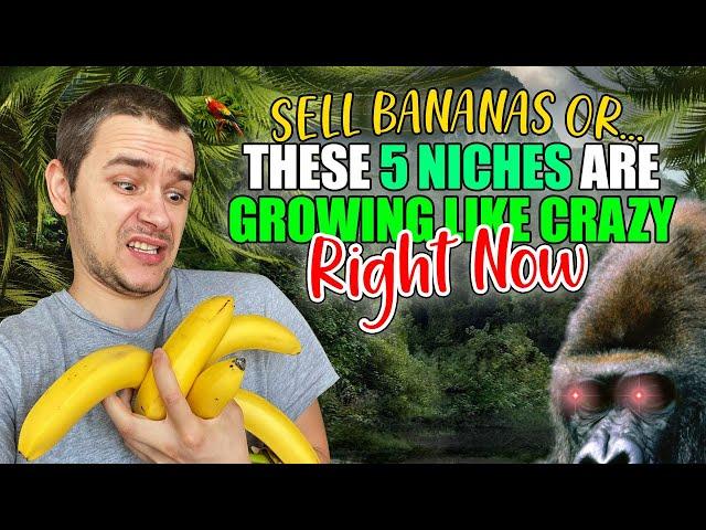 These 5 Niches Are Growing Like Crazy Right Now! @Ecomhunt