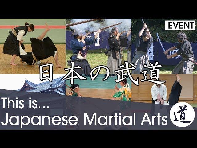 This is... Japanese Martial Arts!