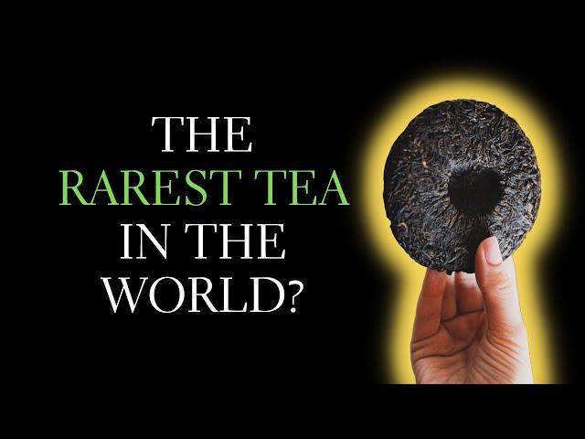 What's the Rarest Tea in the World? Exploring 5 Rare Tea Types and What Makes a Rare Tea