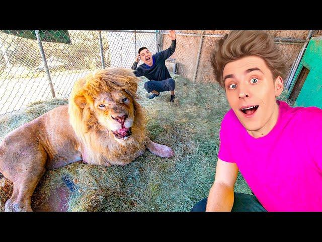 24 Hours at a ZOO Challenge !