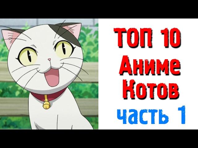 Топ 10 Аниме Котов Часть первая