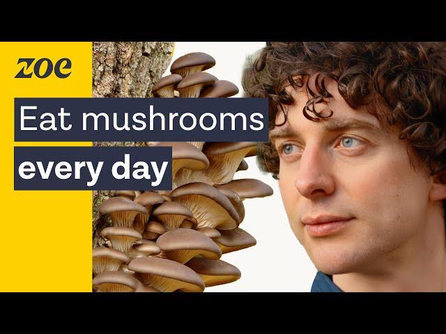 Mushroom expert: uncovering the health secrets of fungi | Merlin Sheldrake & Prof. Tim Spector