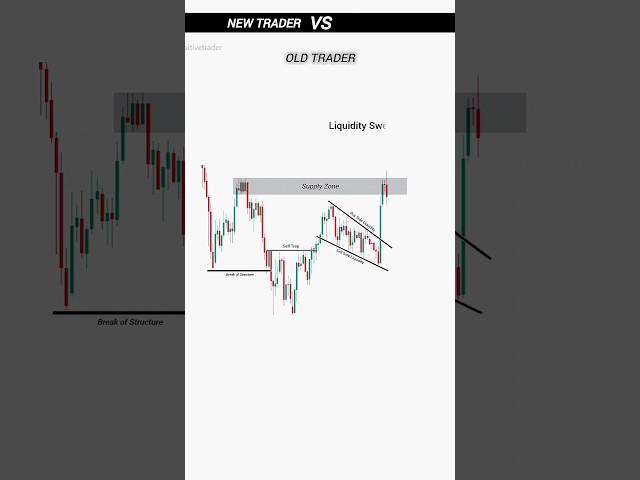 New Trader Vs Old Trader | Trading Psychology for Beginners | Day Trading | #trading #crypto #shorts