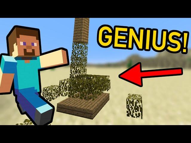 Minecraft's Most Genius Speedrun Strategy