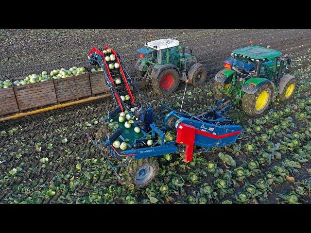 Automatic cabbage harvesting | How sauerkraut is made | Asa-Lift TK-1000E I