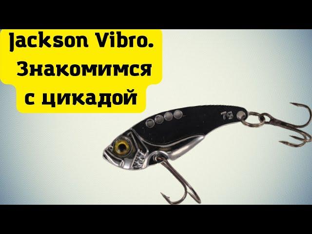 НЕОБЫЧНАЯ ПРИМАНКА на ОКУНЯ. Цикада Jaxon Vibro