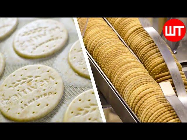 Biscuit Factory Process | How Biscuits Are Made In Factory