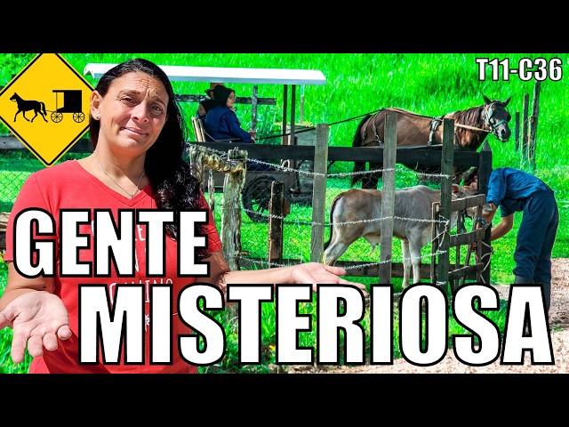 ️ Así VIVEN los AMISH ultra CONSERVADORES de Estados Unidos  Lancaster Pensilvania