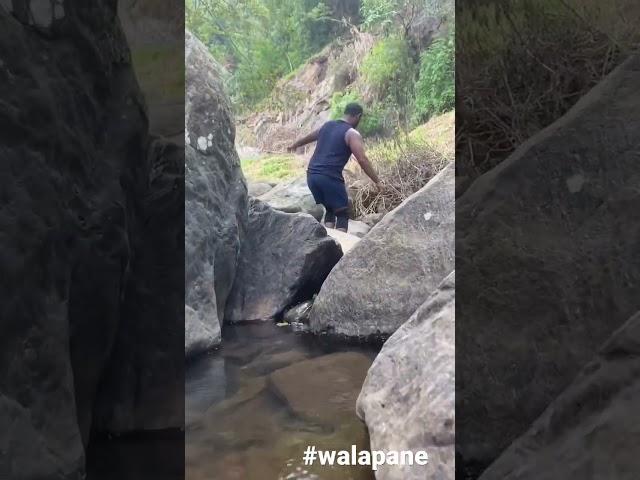 #walapane #walkthrough  #river