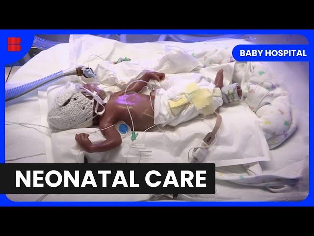 NICU Nurses: Everyday Heroes  - Baby Hospital - Medical Documentary