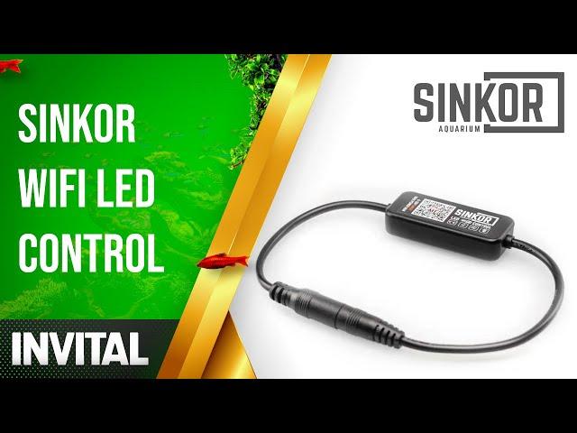 Sinkor Wifi LED Control | INVITAL