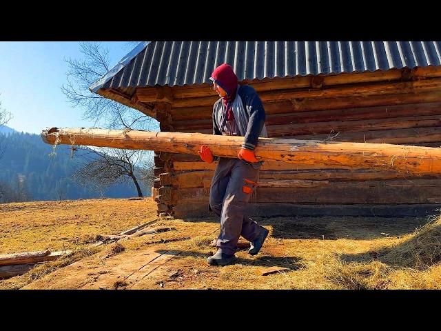 Survival in the Mountains: A Young Couple in Love and the Restoration of a House