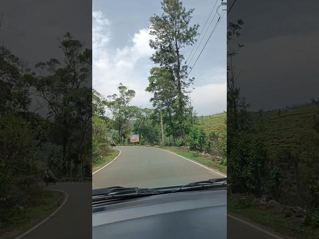 Vagamon Hill Drive #hilldrive #vagamon #driving #tour #car #mountain #cars