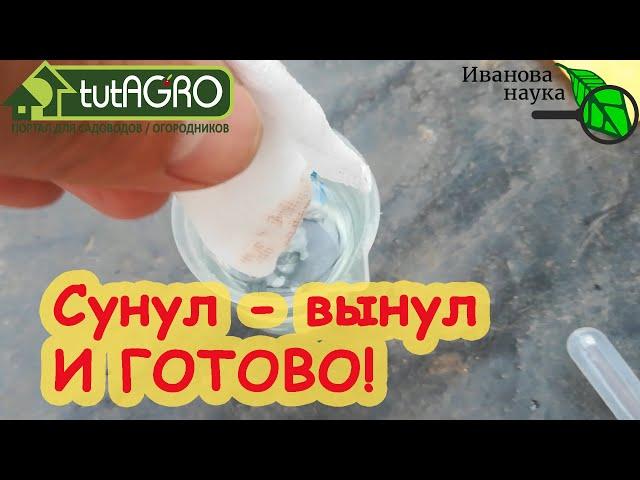 5 СЕКУНД - И ГОТОВО! 4 СПОСОБА БЫСТРОЙ и ДЕШЕВОЙ ПОДГОТОВКИ СЕМЯН К ПОСЕВУ. Доступно абсолютно всем!