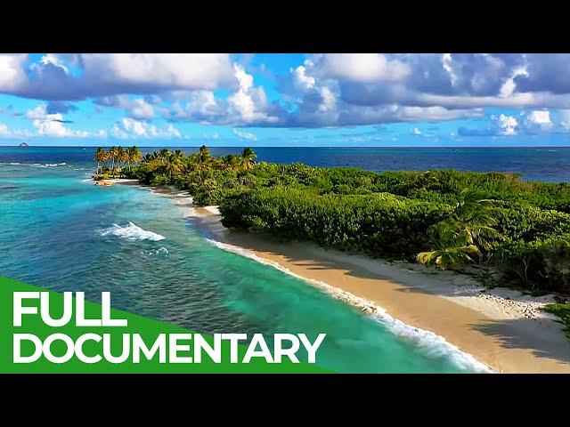 Saint Vincent and the Grenadines - Caribbean Island Paradise | Free Documentary Nature