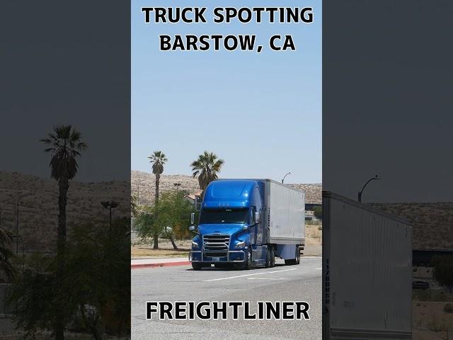 TRUCK SPOTTING #01482 / FREIGHTLINER #automobile #semitrailer #trucking