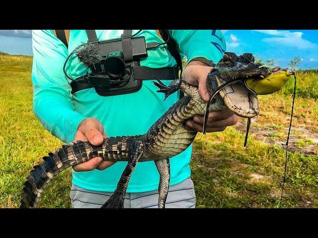 When Fishing Goes Wrong! Alligator Mishap!