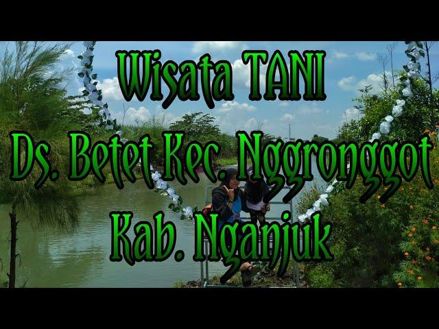 Wisata TANI Ds. Betet Kec. Nggronggot Kab. Nganjuk