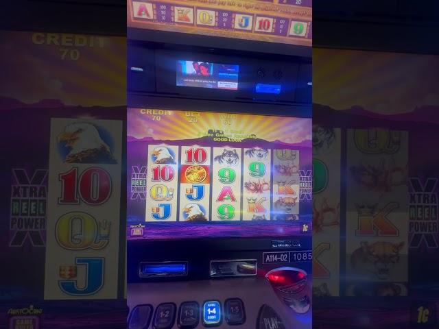 Buffalo Slots 🪙 Bonus Video #buffaloslot #casino #slotmachinebonus