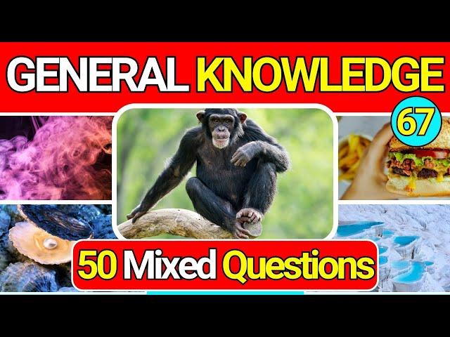 General Knowledge Quiz Trivia 67 | Can You Answer All 50 Questions Correctly? 2024