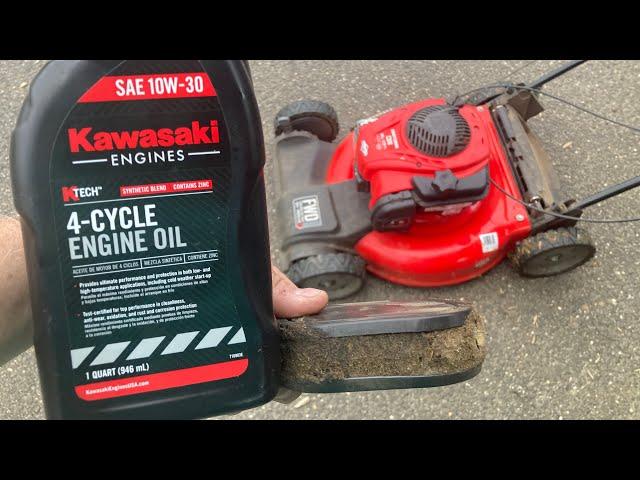 Craftsman Mower Won’t Start. Briggs E-Series, Where’s the Oil?